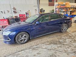 Hyundai Sonata salvage cars for sale: 2021 Hyundai Sonata SE