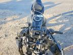 2026 Kawasaki EX650 P