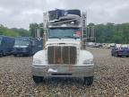 2023 Peterbilt 337 Refrigerated BOX Truck