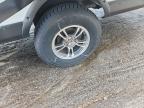 2020 Forest River Palomini Camper