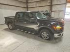 2025 Ford F150 XLT