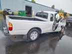 2004 Toyota Tacoma Base