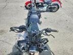 2025 Harley-Davidson RH975 S