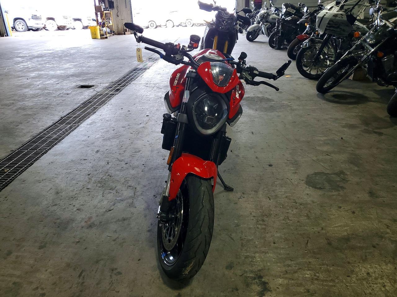 2024 Ducati Monster