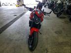 2024 Ducati Monster