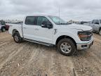 2024 Ford F150 XLT