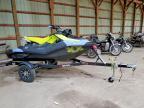 2024 Seadoo JETKIS&TRA