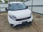 2022 Dodge RAM Promaster-Delivery Van