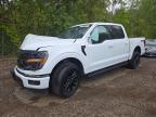 2024 Ford F150 XLT