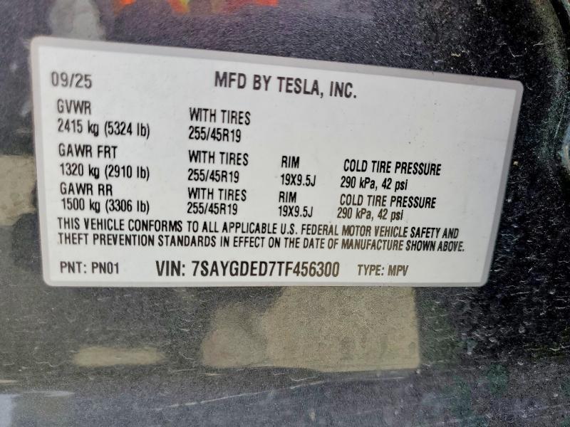 2026 Tesla Model Y