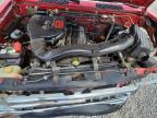 1992 Nissan Truck Base
