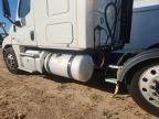 2019 Freightliner Cascadia 125 Semi Truck