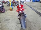 2024 Ducati Monster