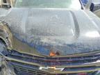 2019 Chevrolet Silverado K1500 LT Trail Boss