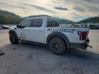 2017 Ford F150 Raptor
