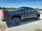 2024 Chevrolet Silverado K1500 LT Trail Boss