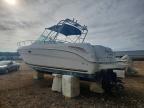 2003 Seaark 2003 Fuelish Pleasure Boat