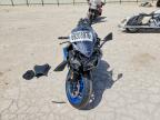 2026 Kawasaki ZX636 K