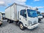 2017 Isuzu NQR-BOX Truck