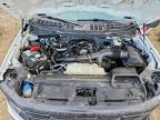 2024 Ford F150 XL