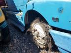 1993 White WIA Semi Truck