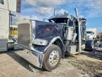 2016 Peterbilt 389 Semi Truck