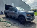 2024 Ford F150 XLT