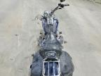 2008 Harley-Davidson Flstc Shrine