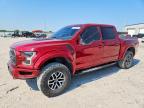 2017 Ford F150 Raptor