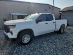 2024 Chevrolet Silverado C1500