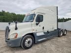 2015 Freightliner Cascadia 125