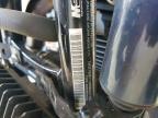 2024 Harley-Davidson Flhx