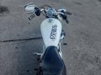 2005 Harley-Davidson XL883 C