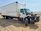 2025 International MV607 BOX Truck