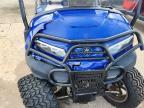 2022 BIG MAN Golf Cart