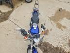 2006 Harley-Davidson XL883 L