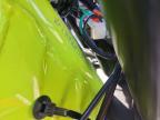 2026 Pro Pala 2026 Paladin 300 X PRO Dirt Bike