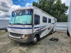 2006 Georgieboy LANDA402DS