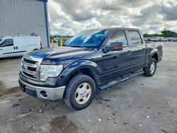 Salvage cars for sale from Copart Apopka, FL: 2013 Ford F150 Supercrew