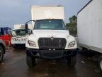 2024 International MV607 BOX Truck