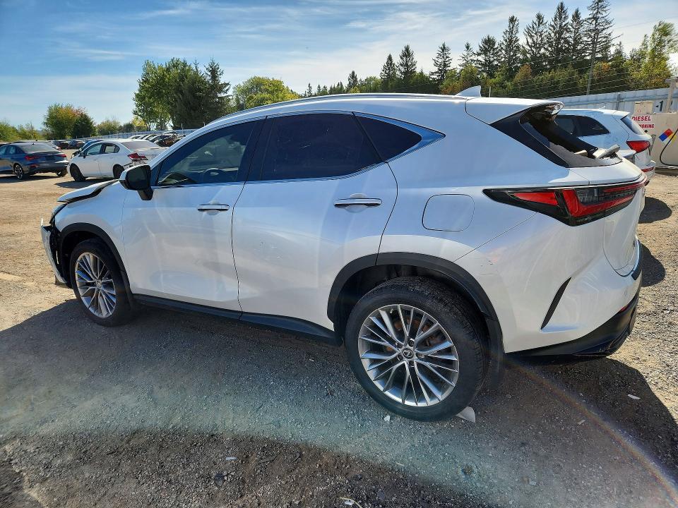 2022 Lexus NX 350H