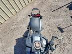 2021 Husqvarna Vitpilen 401/SVARTPILEN 401