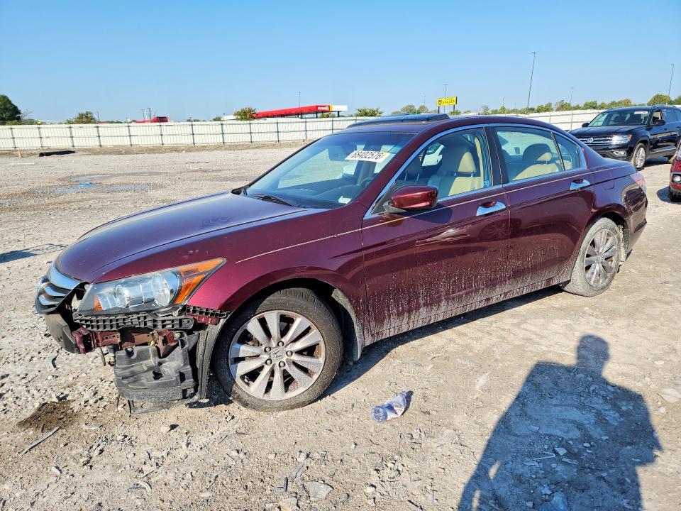 2011 Honda Accord EXL