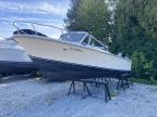2017 Boat Boat-Boat