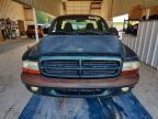 2000 Dodge Dakota