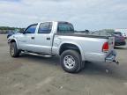 2001 Dodge Dakota Quattro