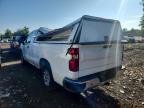 2019 Chevrolet Silverado C1500
