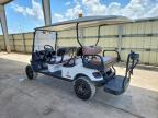 2021 Ezgo Golf Cart