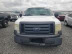 2010 Ford F150