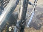 2000 Harley-Davidson Flstc